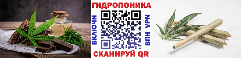 Купить закладки  Курчатов  Canna-Cookies марихуана 