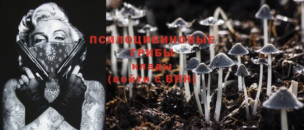 бошки Зерноград