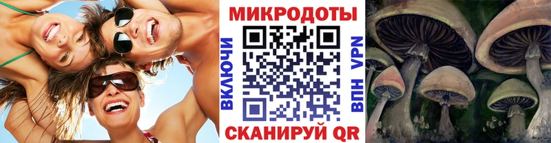 Купить где  Курчатов  Галлюциногенные грибы Cubensis 